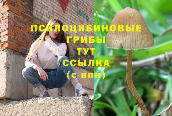 альфа пвп Михайловск