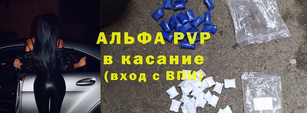 молекула духа Михайлов