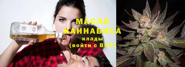 молекула духа Михайлов
